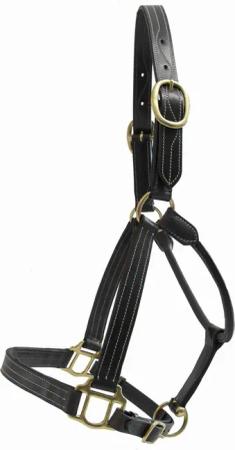 Halfter aus Leder T de T