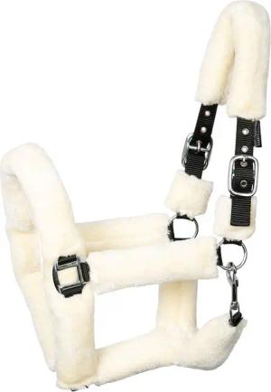 Halfter Harry's Horse Teddy