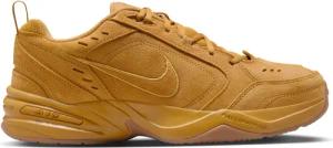 Hallenschuhe Nike Air Monarch SE