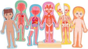 Hape Konturenpuzzle Menschlicher Körper, 63 Puzzleteile