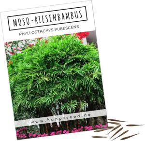HappySeed Blumensamen Moso Riesenbambus Samen - Phyllostachys pubescens, Bambus