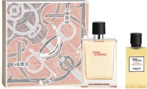 HERMÈS Geschenkset -  Terre d'Hermès Eau de Toilette Set 100ml/80ml
