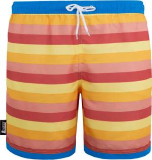 Herren Boardshorts Style 11 Streifen