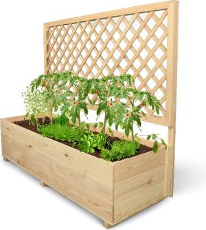 holz4home® Pflanzkasten mit Rankgitter XL   XL