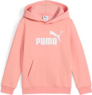 Hoodie Kinder Puma ESS No. 1