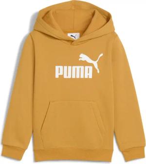 Hoodie Kinder Puma Logo Essentials