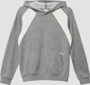 Hoodie mit Kontrast-Details und großem Back-Print