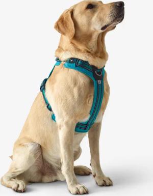 Hundegeschirr 500 Outdoor blau