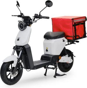 Burnout E-Motorroller Lieferroller ANT weiß, 800 W, 45 km/h, USB Ladedose für Handy Navi etc., E-Roller inkl. Thermo-Liefertasche
