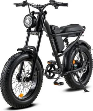 DOTMALL E-Bike Mountainbike E-Bike 20 Zoll 48V15.6AH E Bike 250W Motor Z8 Mountain/City bike