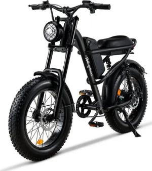 DOTMALL E-Bike Mountainbike Z8 20*4.0 Zoll Mountain Elektrofahrrad 48V 15.6A Akku