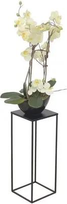 moebel-direkt-online Blumentisch Iris (In drei Farben lieferbar, In drei Höhen lieferbar), aus Metall