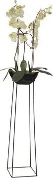 moebel-direkt-online Blumenständer Heidi (Höhe 72 cm), aus Eisen