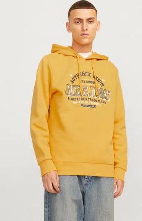 Jack & Jones Kapuzensweatshirt JJELOGO SWEAT HOOD 2 COL 24/25 NOOS mit Logo Print