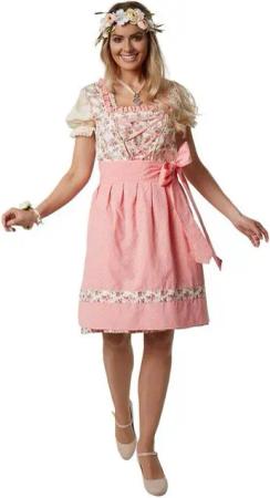 dressforfun Dirndl Frauenkostüm Mini-Dirndl Herrenchiemsee Modell 1