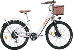 DOTMALL E-Bike Cityrad E Bike 26 Zoll Cysum 250W 36V 10Ah Mountain/City bike