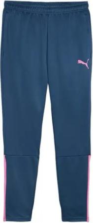 PUMA Sporthose PUMA teamLIGA Trainingshose Trainingshosen Herren