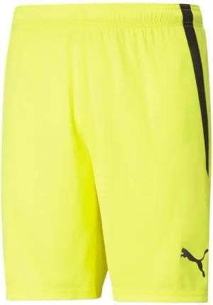 PUMA Sporthose PUMA teamLIGA Short Shorts Herren