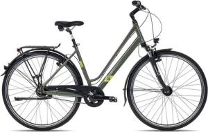 2R Manufaktur Trekkingrad TRX8 Trapez, 8 Gang Shimano Nexus 8 SG-C6001-8C Rücktritt Schaltwerk, Nabenschaltung Rücktritt, Damen Trekkingrad 28 Zoll grün