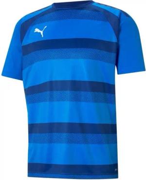 PUMA Fußballtrikot PUMA teamVISION Trikot Kurzarm-Trikots Herren Teamsport