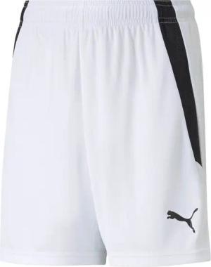 PUMA Sporthose teamLIGA Short Kids