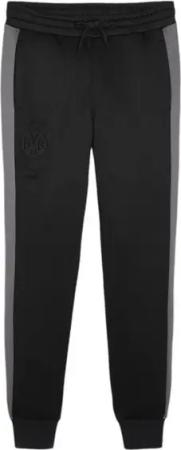PUMA Sporthose BVB Dortmund Ftbl Trainingshose
