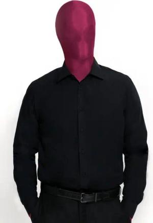 schmidbauer·MODE Businesshemd Elegantes langarm Herrenhemd Freizeithemd aus Biobaumwolle, Blauer Engel zertifiziert