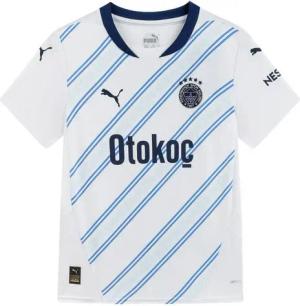 PUMA Fußballtrikot PUMA Teamsport