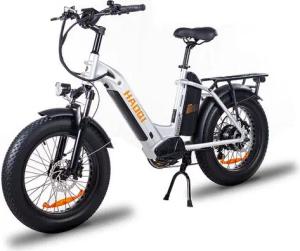 DOTMALL E-Bike Cityrad HA0Ql Antelope 20 zoll 48V 15AH + 10AH Dual-Akkus Lasten E-Bike 2.0