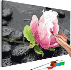Artgeist Malen nach Zahlen Pink Flower and Stones