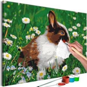Artgeist Malen nach Zahlen Rabbit in the Meadow