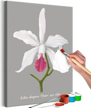 Artgeist Malen nach Zahlen Lelia elegans