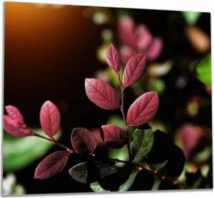 Wallario Herd-Abdeckplatte Rote und grüne Blätter an einem Zweig, ESG-Sicherheitsglas, (Glasplatte, 1 tlg., inkl. 5mm Noppen), verschiedene Größen
