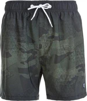 CRUZ Badeshorts Quinland mit modischer Musterung