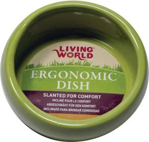 Living World Green Futternapf Ergonomischer Keramiknapf grün