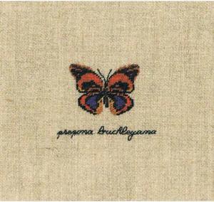 Le Bonheur des Dames Kreativset Le Bonheur des Dames Petit Point Stickpackung "Prepona Buckleyana Schm, (embroidery kit by Marussia)