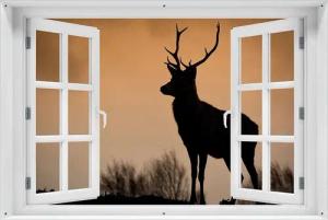 Wallario Sichtschutzzaunmatten Rothirsch am Abend, mit Fenster-Illusion
