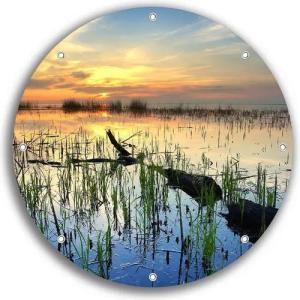 Wallario Sichtschutzzaunmatten Schilf am Abend - Sonnenuntergang über der Seelandschaft, rund