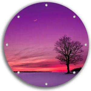 Wallario Sichtschutzzaunmatten Mond und Baum am Abend bei Schnee, rund