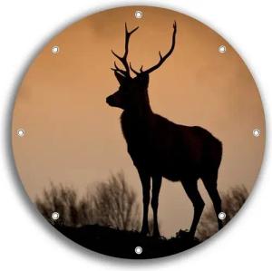 Wallario Sichtschutzzaunmatten Rothirsch am Abend, rund