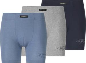 3er Pack Retropants DOMETISSI Babista blau