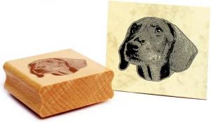 Dekolando Stempel Motivstempel Dackel Kurzhaar Stempel Hund Holzstempel 48 x 39 mm