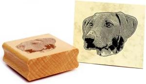Dekolando Stempel Motivstempel Azawakh Stempel Hund Holzstempel 48 x 41 mm