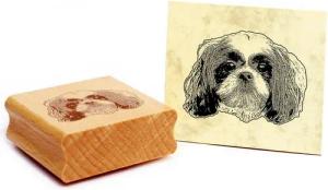 Dekolando Stempel Motivstempel Shih Tzu Stempel Hund Holzstempel 48 x 36 mm