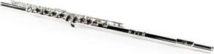Monzani Querflöte, MZFL-370 Querflöte Japanisches Neusilber Geschlossene Klappen E-Mechanik C-Fuß Stimmung C Inklusive Etui Ideal für Anfänger und Wiedereinsteiger Warmer Klang Italienische Polster und Federn, Querflöten, Querflöten mit geschl. Klappen, M