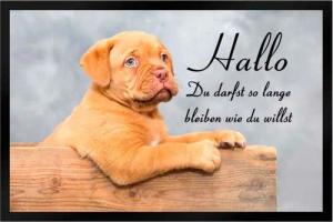 Ladreas Fußmatte Schmutzfangmatte Hund Du darfst so lange bleiben F709, 60x40