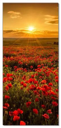 Wallario Türtapete Mohnblumenwiese bei Sonnenuntergang am Abend, glatt, ohne Struktur