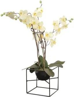 moebel-direkt-online Blumenampel Caro (1 St), gekreuzte Metallstäbe, auch als Standregal nutzbar