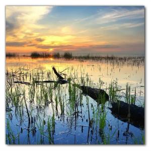 Wallario Möbelfolie Schilf am Abend - Sonnenuntergang über der Seelandschaft