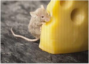 Wallario Schaum-Badematte Süße Maus knabbert an einem Käse in der Küche, Höhe 5.5 mm, rutschhemmend, geeignet für Fußbodenheizungen, Polymer-Schaum, rechteckig